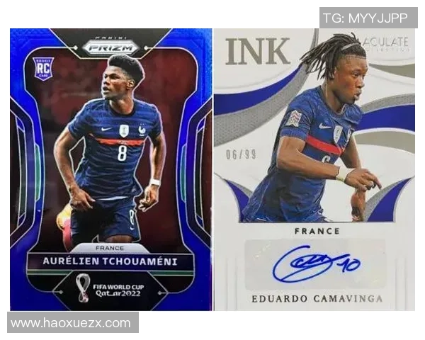 选择足球球星卡投资的最佳球员推荐与市场趋势分析